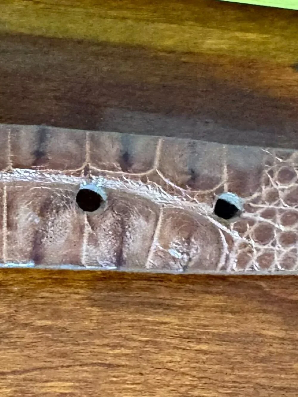 Genuine Hornback Alligator Men’s Belt Size 34 Width 1